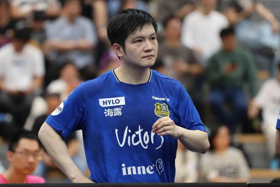 的优异表现 的优异表现